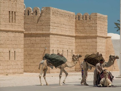 Two men lead camels in front of a sand-coloured fortress along a road, Tunis in Africa with ruins