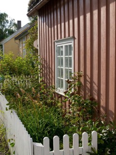 Brown house with white windows surrounded by green plants behind a white fence, colourful wooden