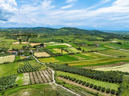 Fields over Apollonia Archaeological Park from a drone, Pojan, Albania, Europe