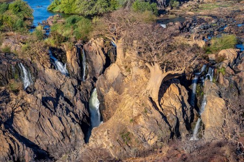 Kunene River, waterfall and African Baobab (Adansonia digitata), in the evening light, Epupa Falls,