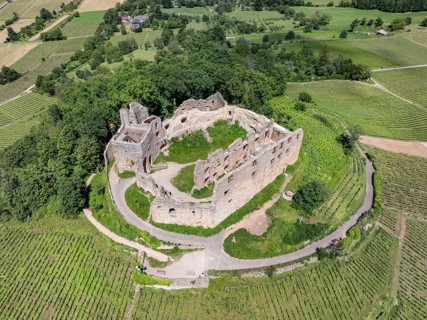 Aerial view of Staufen Castle, on a vineyard, Schlossberg, Staufen im Breisgau, Markgraeflerland,