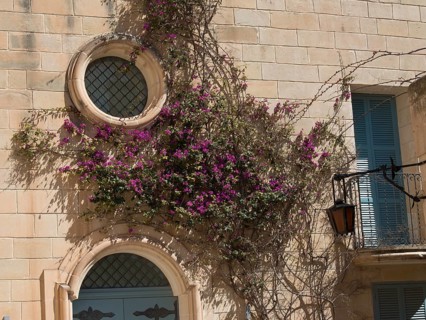 House facade with climbing plants and round windows in a mediterranean atmosphere, the town of