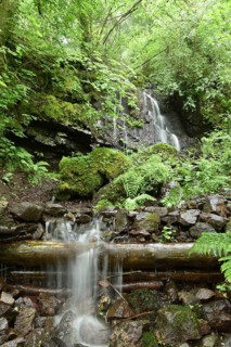 Waterfall with pond in the forest near Gerach in Hunsrueck, Rhineland-Palatinate, Germany, Europe