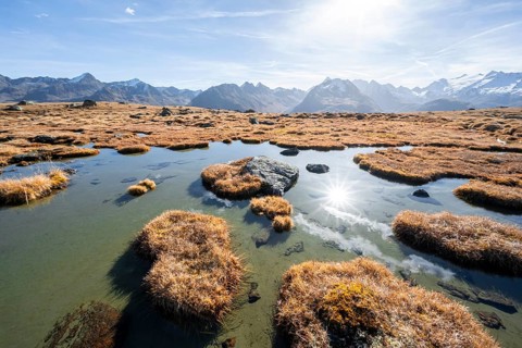 Small lake on the high plateau of the Gurgler Seenplatte, glaciated mountain peaks in the