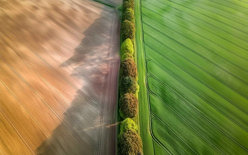 Field hedges from above, between the fields serve as biotope and protection against soil erosion,