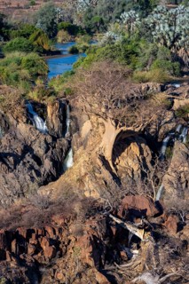 Kunene River, waterfall and African Baobab (Adansonia digitata), in the evening light, Epupa Falls,