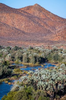 Kunene River with green vegetation in a dry red mountain landscape, in the evening light, Epupa