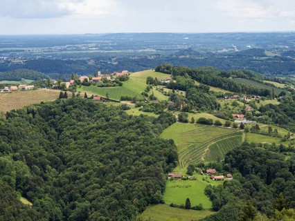 Hilly landscape, vineyards, view from the Demmerkogel lookout point, St. Andrae-Hoech, Sausal wine