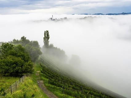 Church rises out of the morning mist, Frauenberg pilgrimage church, near Leibnitz, Styria, Austria,