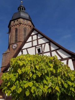 Traditional tower and half-timbered house surrounded by trees under a blue sky, historic