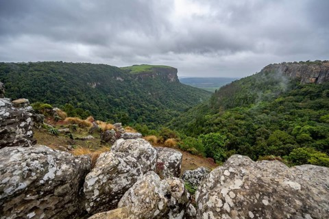 View of the Graskop Gorge with dense forest from the plateau, Panorama Chalets and Rest Camp,