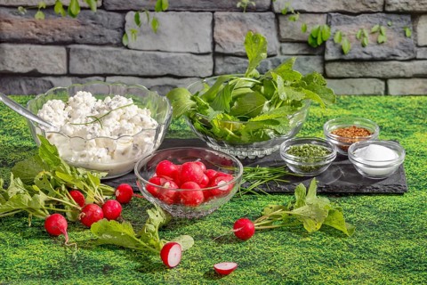 Radishes, cottage cheese, herbs and spices in glass bowls on grass in front of a stone wall