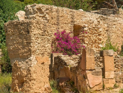 Ancient ruins with purple flowering plants peeking through the ancient rock, Tunis in Africa with