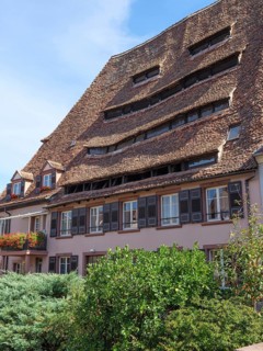 Large half-timbered house with many skylights and surrounded by shrubs, historic house fronts and a