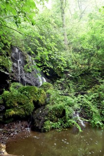 Waterfall with pond in the forest near Gerach in Hunsrueck, Rhineland-Palatinate, Germany, Europe