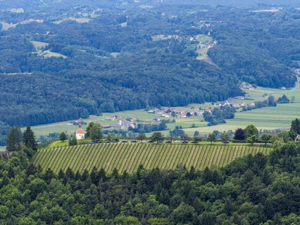 Hilly landscape, vineyards, view from the Demmerkogel lookout point, St. Andrae-Hoech, Sausal wine