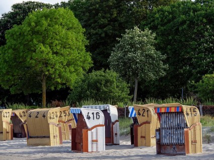 Beach chairs lined up in the sand against a backdrop of dense, green trees, colourful beach chairs
