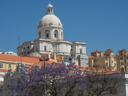 Impressive building with a large dome and purple blossoming trees in the foreground under a blue
