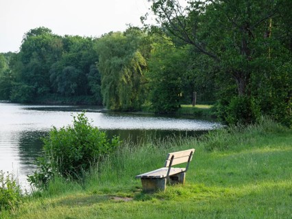A wooden bench stands on the quiet shore of a lake, surrounded by green areas, green trees and
