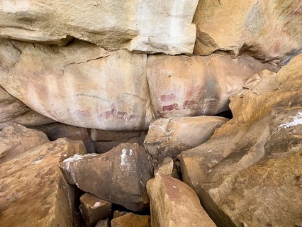 Prehistoric animal depictions on a rock, San rock paintings, Sevilla Art Rock Trail, Cederberg