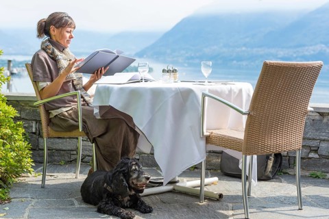 Elegant Woman with Her Dog in an Outdoor Restaurant with Mountain View and Lake Maggiore and