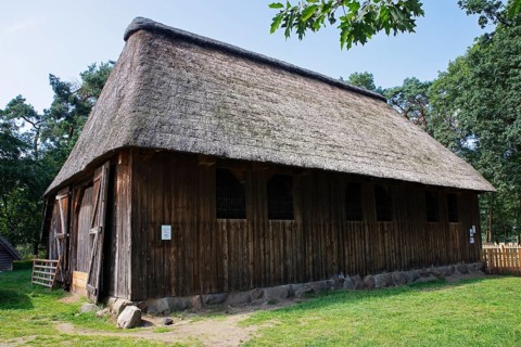 Old sheepfold for Heidschnucken in the Hoepen nature reserve, Lueneburg Heath, Lower Saxony,
