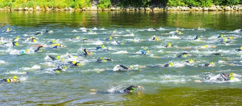 Swimmer, Triathlon, Danube, Ulm, Swabia, Baden-Wuerttemberg, Germany, Europe