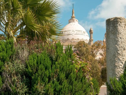 Historic building with dome and palm trees in the foreground, surrounded by green plants, Tunis in