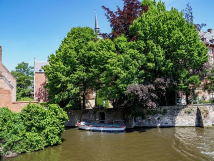 A river with a boat and surrounding trees, fuelled by historic buildings, historic city on the