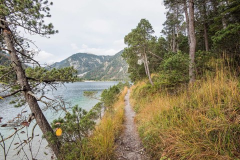 Landscape of a little trail going beside a clear lake (Plansee) in autumn in Tirol