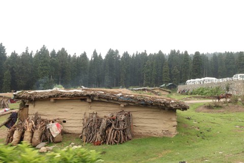 Mud house with logs stacked against it, set in a lush green rural landscape with forest in the