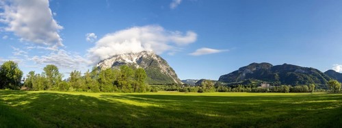 Trees in a meadow, Grimming mountain range in the morning light, panoramic shot, near Irdning,