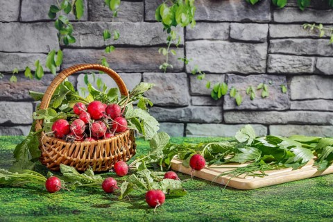 A basket of freshly harvested radishes next to a chopping board with fresh herbs