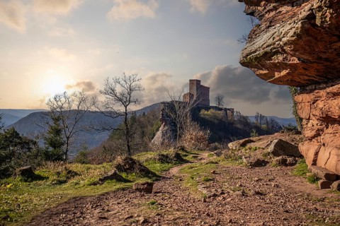 View of Trifels Castle, from Engels Landing rock, with the young tower in autumn at sunset.