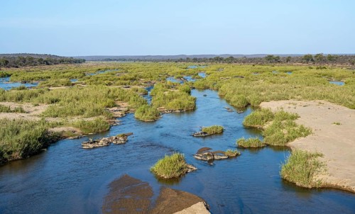 Olifants River, Kruger National Park, South Africa, Africa