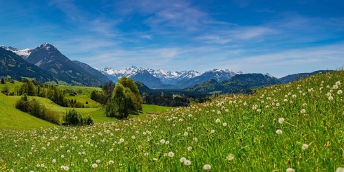 Panorama from Malerwinkel into the Illertal valley, with the Allgaeu Alps behind, Oberallgaeu,