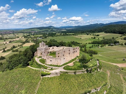 Aerial view of Staufen Castle, on a vineyard, Schlossberg, Staufen im Breisgau, Markgraeflerland,