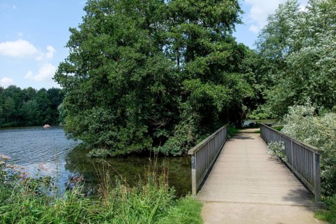A wooden footbridge leads through a quiet forest path along a lake with a clear blue sky, small