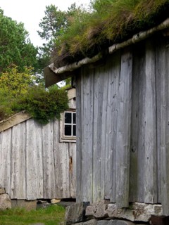Close-up side view of a wooden hut with grass roof and windows in the forest, grey wooden houses in
