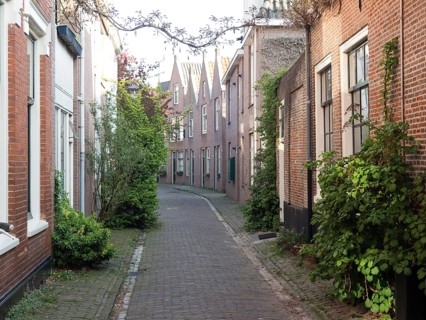 Cobblestone street with narrow houses and plants that create a quiet urban atmosphere, Haarlem,
