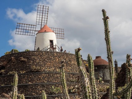 Historic windmill on a rocky hill with cacti in the foreground under a blue sky, Lanzarote, Spain,