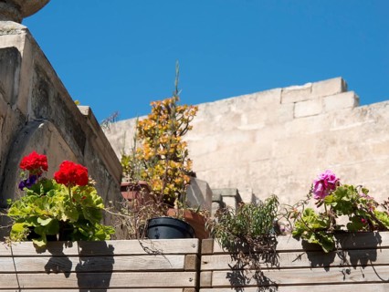 Flowers and plants in flower pots on a wooden cladding under bright sunshine, the town of mdina on