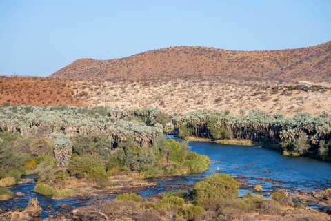 Kunene River with green vegetation in dry red mountain landscape, Epupa, Kaokoveld, Kunene,