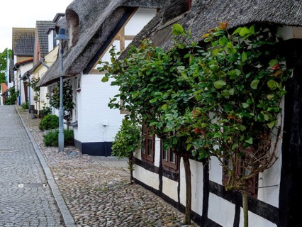 Historic village street with thatched and half-timbered houses, lined with trees and a cobbled