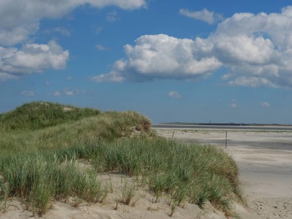 Idyllic dune landscape on the beach with overgrown sand and blue sky, Baltrum Germany