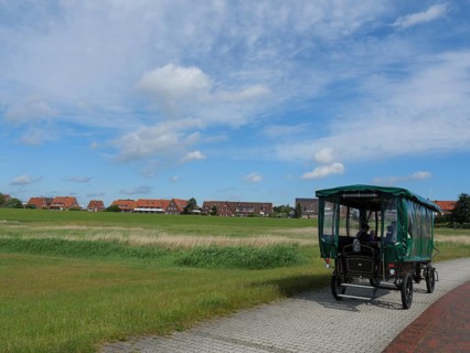 Carriage travelling on a cobbled road through a rural area with green fields and a village in the