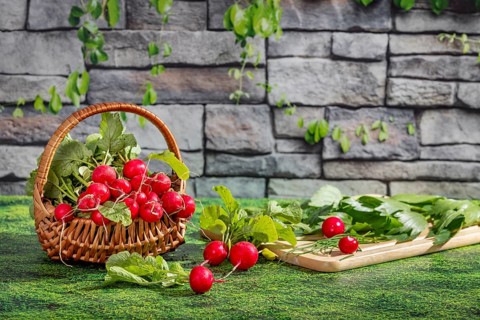 A basket of fresh radishes and a chopping board with herbs on a grassy area in front of a stone