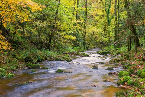 Grobbach in the northern Black Forest near Geroldsau, autumn, Baden-Baden, northern Black Forest,