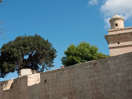 Old stone wall with trees growing on it and a tower in the background under a blue sky, the town of