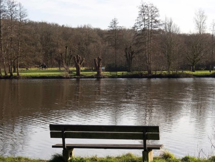 Wooden bench overlooking tranquil lake, reflecting the surrounding trees, small lake with hiking